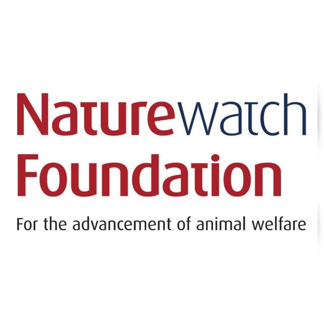 Hownd Hemp by Hownd Skin Nose and Paw Balm for Dogs 50g