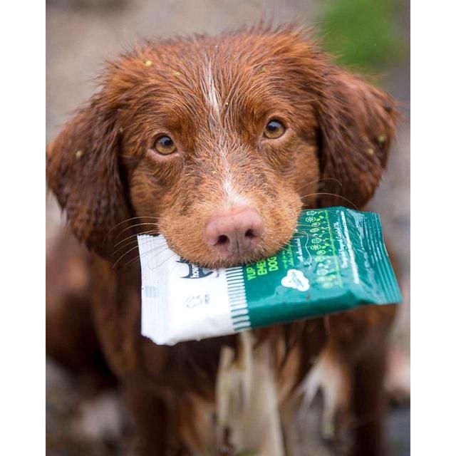 Hownd Yup You Stink! Emergency Dog Wipes 7 per pack