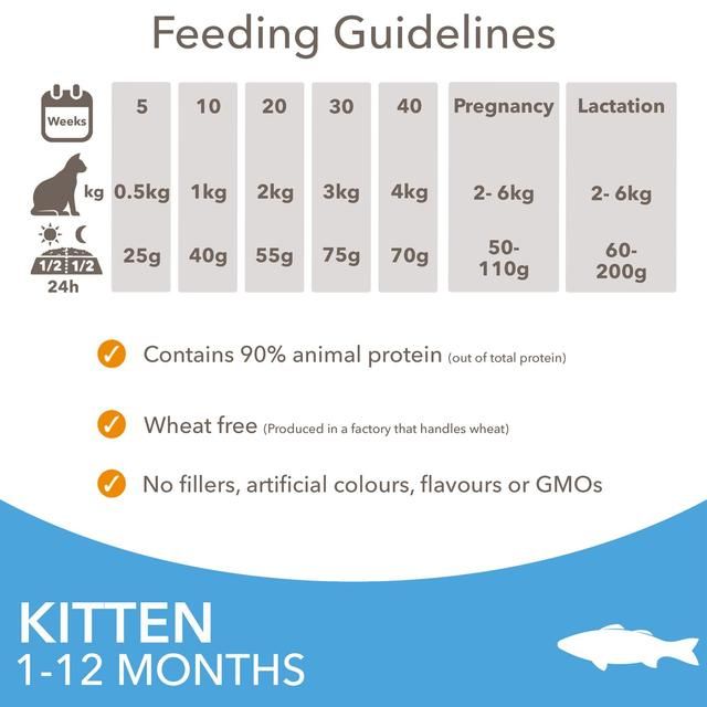 IAMS 1-12 Months Kitten Dry Cat Food Ocean Fish 3kg