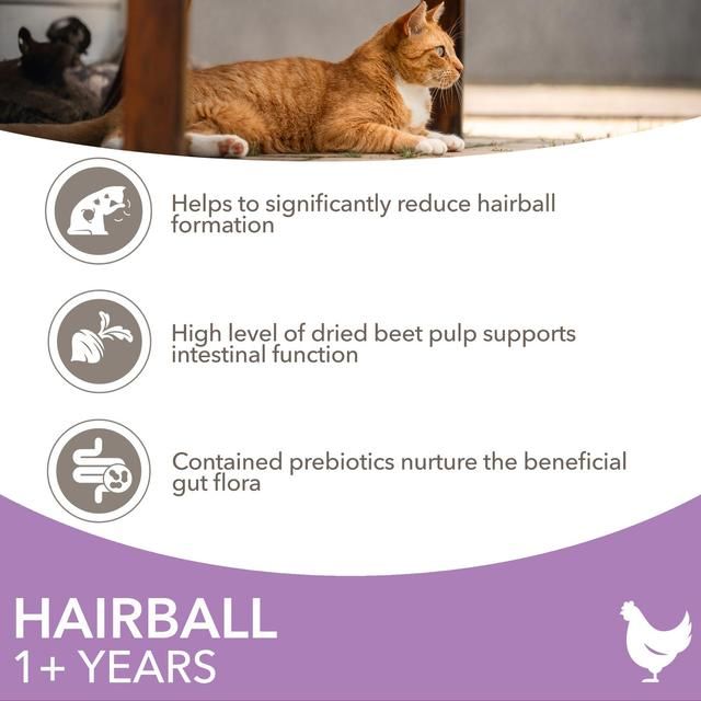 IAMS 1+ Years Hairball Dry Cat Food Chicken 3kg