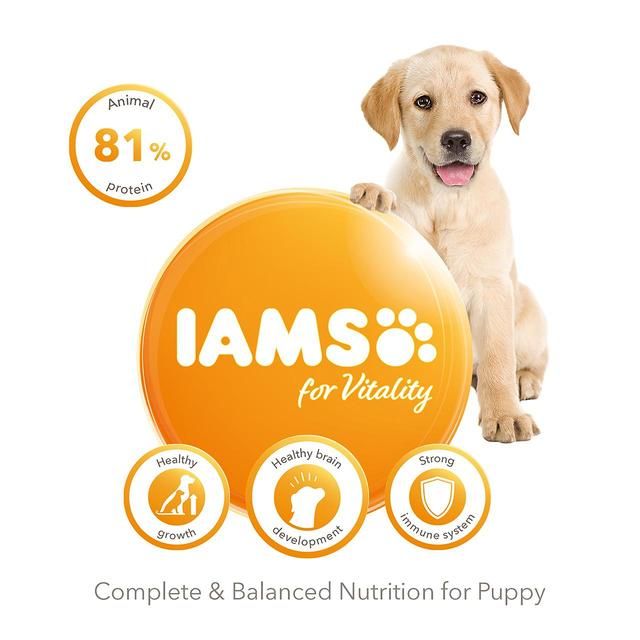 IAMS for Vitality Puppy Food Large Breed with Fresh Chicken   2kg