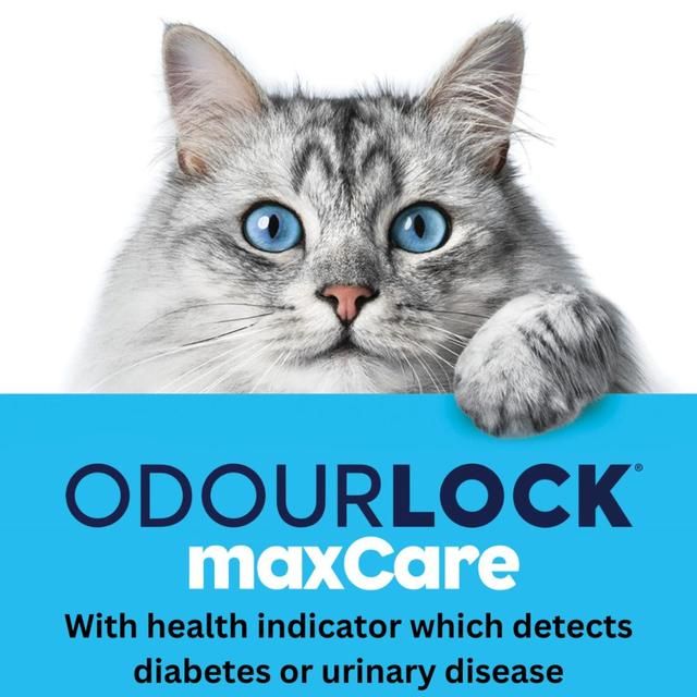 Intersand OdourLock maxCare Detects Urinary Disease & Diabetes 12kg