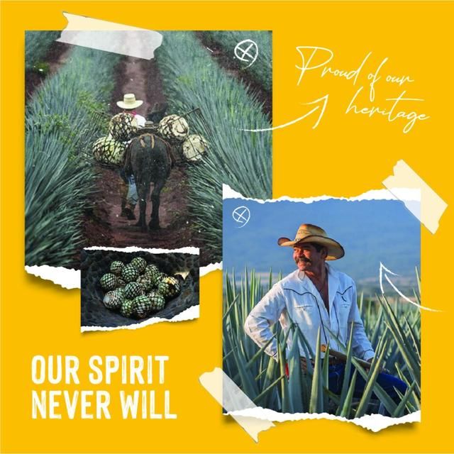 Jose Cuervo Especial Reposado Tequila 70cl