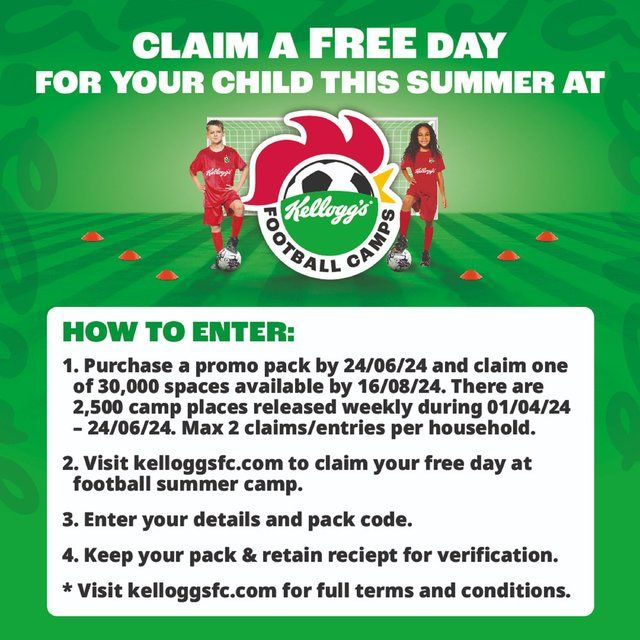 Kellogg's Rice Krispies Breakfast Cereal 310g