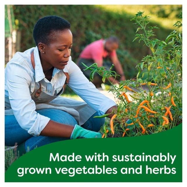 Knorr 20 Vegetable Stock Cubes 20 x 10g