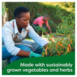 Knorr 4 Organic Chicken Stock Pot 104g