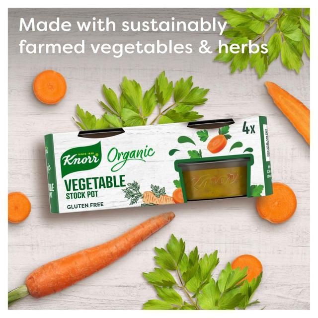 Knorr 4 Organic Vegetable Stock Pot 104g