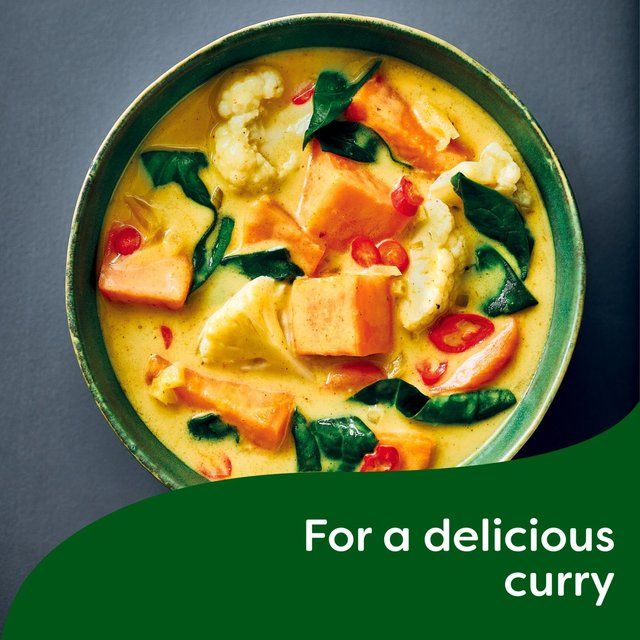 Knorr Hairy Bikers Meat Free Chicken Stock Pot   104g