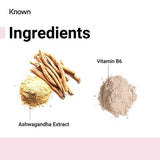 Known Ashwagandha Apple Vegan Gummy Supplements x 60