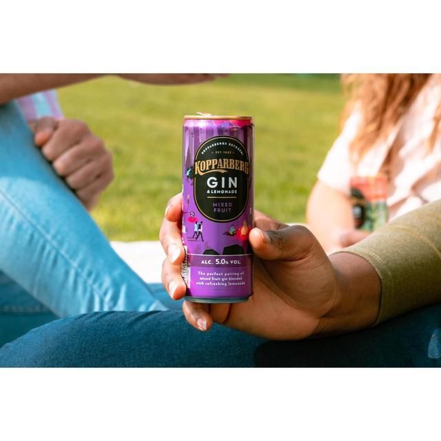 Kopparberg Mixed Fruit Gin & Lemonade 250ml