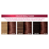 L'Oreal Excellence Creme 5.15 Iced Brown Hair Permanent Dye