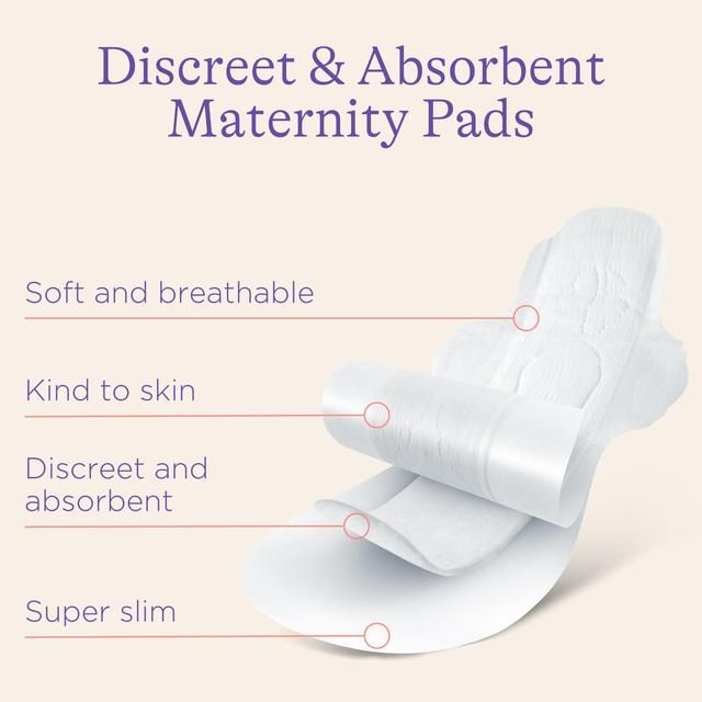 Lansinoh Discreet & Absorbent Maternity Pads 12 per pack