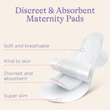 Lansinoh Discreet & Absorbent Maternity Pads 12 per pack