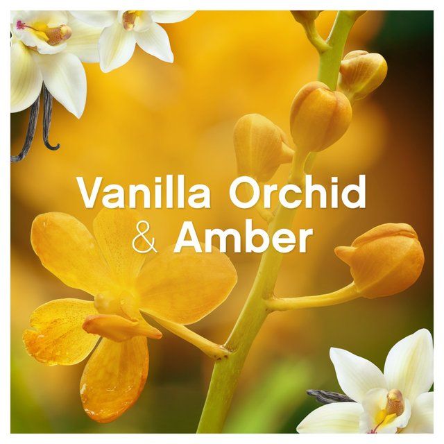 Lenor Fabric Conditioner Gold Orchid 42 Washes 1386ml