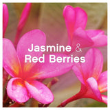 Lenor Fabric Conditioner Jasmine & Red Berries 42 Washes 1386ml
