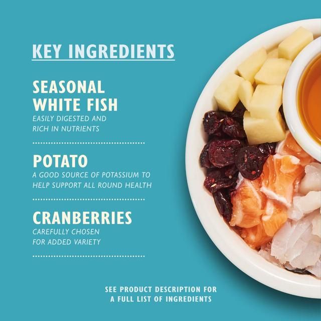 Lily's Kitchen Cat Fisherman's Feast White Fish with Salmon Dry Food 800g