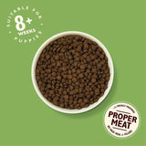 Lily's Kitchen Dog Chicken & Salmon Puppy Recipe Dry Food 2.5kg