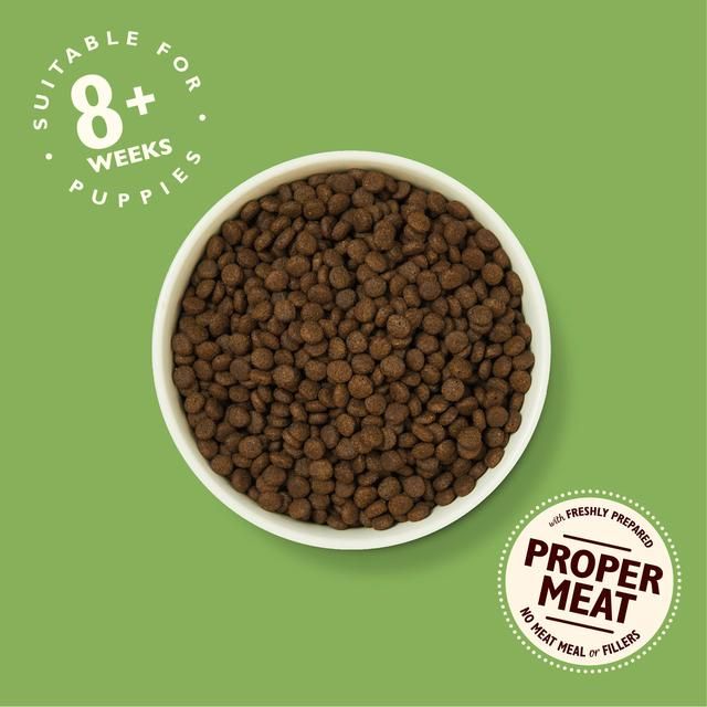 Lily's Kitchen Dog Chicken & Salmon Puppy Recipe Dry Food 7kg