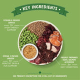 Lily's Kitchen Dog Duck Salmon & Venison Wild Woodland Walk Adult Dry Food 12kg