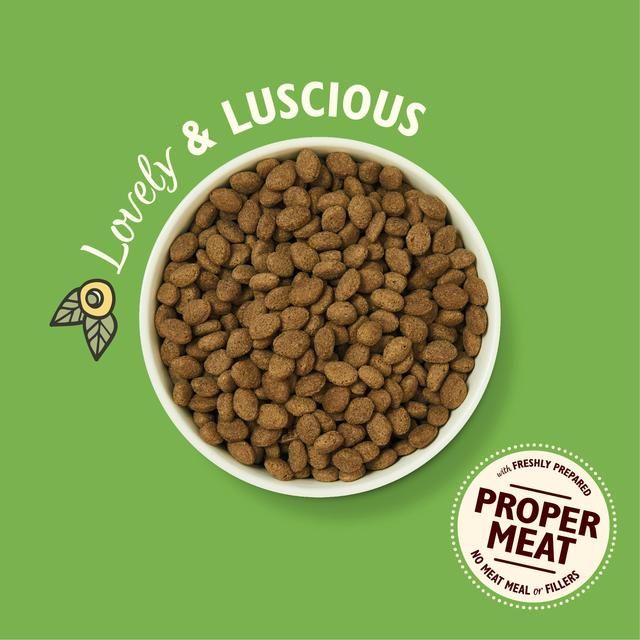 Lily's Kitchen Dog Lamb Shepherd's Pie Adult Dry Food   1kg