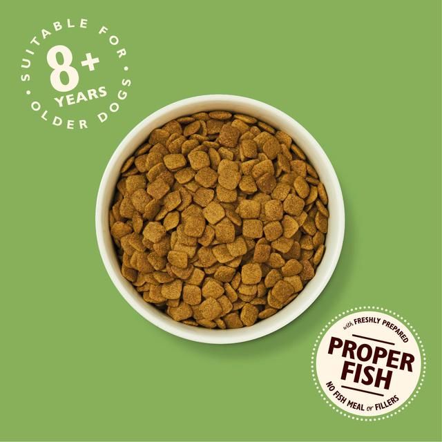 Lily's Kitchen Dog Turkey & Trout Senior Recipe Dry Food 2.5kg