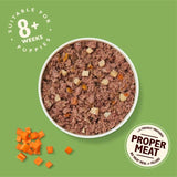 Lily's Kitchen Puppy Recipe with Chicken Potatoes & Carrots   400g