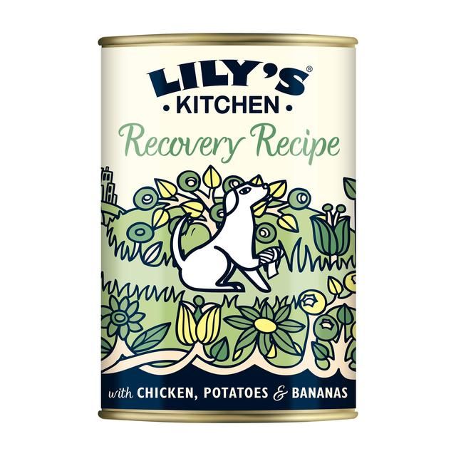 Lily's Kitchen Recovery Recipe for Dogs 400g