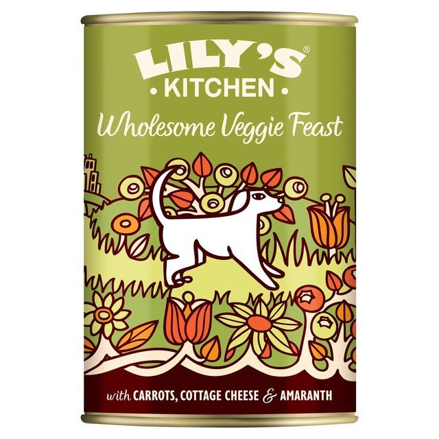 Lily's Kitchen Wholesome Veggie Feast for Dogs 375g