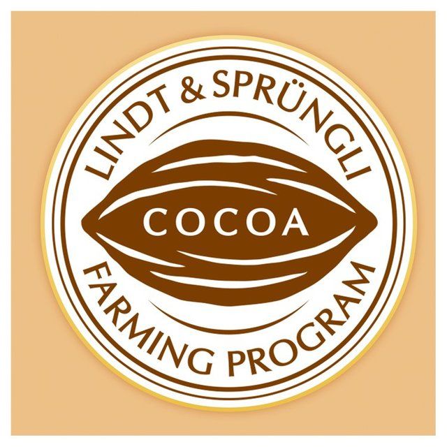 Lindt Lindor Assorted Truffles 337g