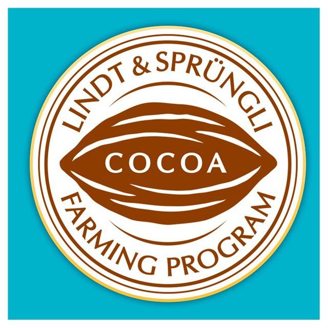 Lindt Lindor Milk Salted Caramel Chocolate Truffles 200g