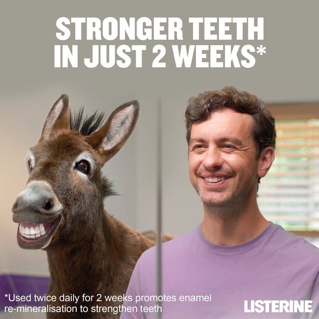 Listerine Total Care Zero MouthWash Smooth Mint 500ml