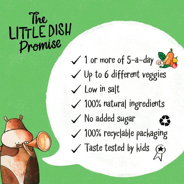 Little Dish Chicken & Veg Pie 200g