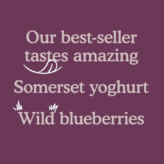 Little Freddie Blueberry & Banana with Greek Yoghurt Organic Pouch 6 mths+ 100g