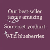 Little Freddie Blueberry & Banana with Greek Yoghurt Organic Pouch 6 mths+ 100g