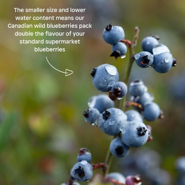 Little Freddie Blueberry & Banana with Greek Yoghurt Organic Pouch 6 mths+ 100g