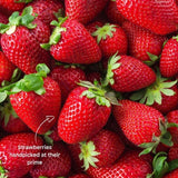 Little Freddie Organic Fragrant Strawberries Bananas & Apples 100g
