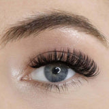 Lola's Lashes LWI Clear Adhesive Liner & Lash Set