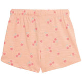 M&S Cotton 3pk Patterned Shorts 2-3Y 3 per pack