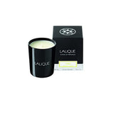 Lalique Candle 190g - Le Soleil Chiang Mai