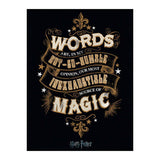 Harry Potter Words Canvas Print