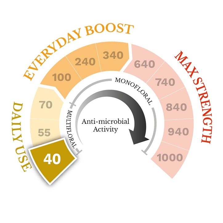 Manuka Doctor Manuka Honey MGO 240 500g