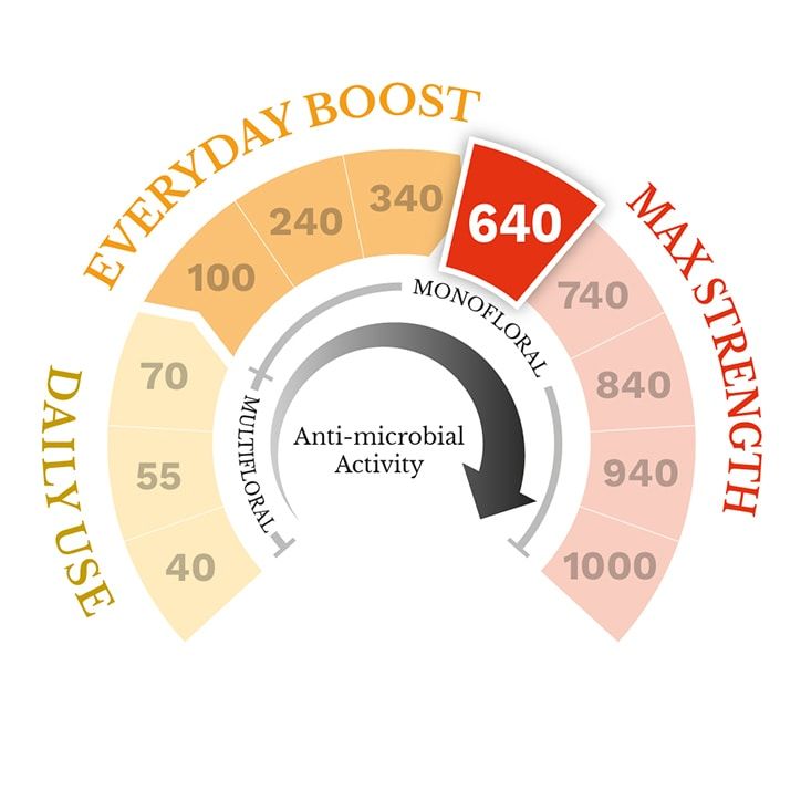 Manuka Doctor Manuka Honey MGO 240 500g