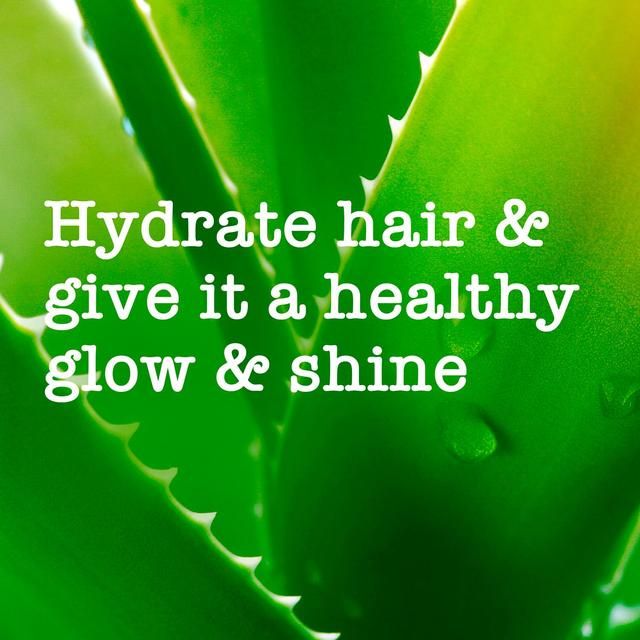 Maui Moisture Nourish & Moisture+ Coconut Milk Conditioner 385ml