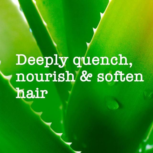 Maui Moisture Revive & Hydrate+ Shea Butter Conditioner 385ml