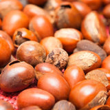 Maui Moisture Revive & Hydrate+ Shea Butter Shampoo 385ml