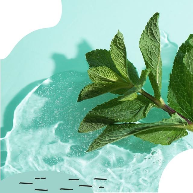 Miniml Toilet Cleaner - Spearmint & Peppermint 1L