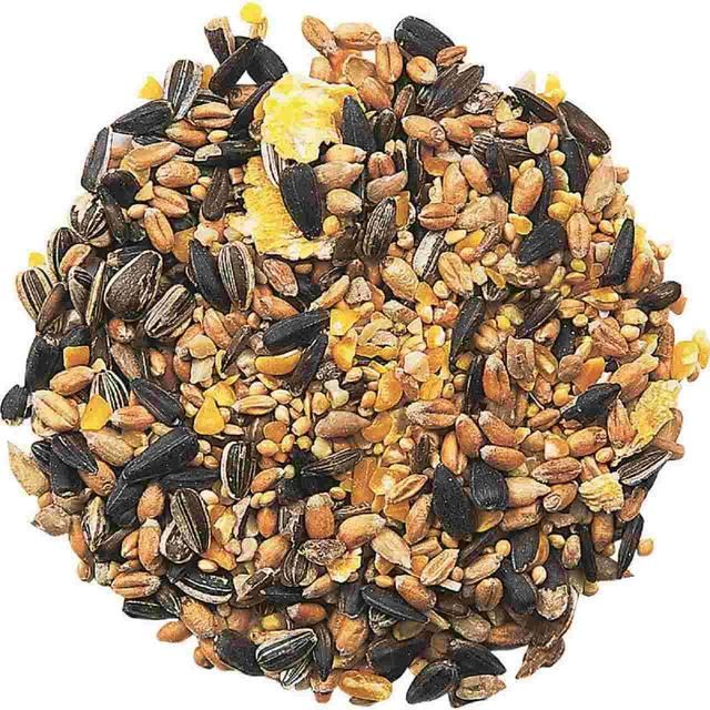 National Trust CJ Wildlife Garden Bird Table Seed 12.75kg