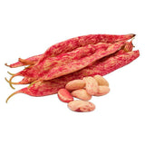 Natoora Italian Borlotti Beans 400g