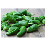 Natoora Spanish Padron Peppers 130g