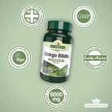 Natures Aid Ginkgo Biloba Supplement Tablets 6000mg 90 per pack